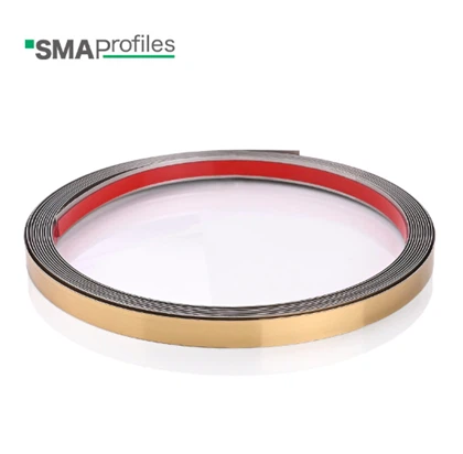 Stainless Steel Flat Strip Rolls